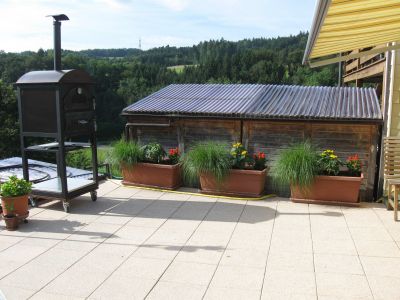 Begrünung auf der Terrasse