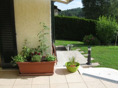 Tomaten und Kräuter auf der Terrasse