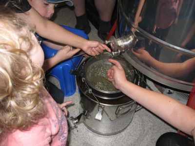 Probieren des gelben Goldes, auch für Kinder immer eine süsse Versuchung