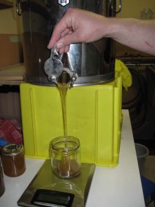 Bei gut 4 Kilo entschiedne wir uns gleich den Honig in Glaser zu füllen