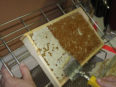 Was die Bienen geschlossen haben, wird nun wieder entdeckelt