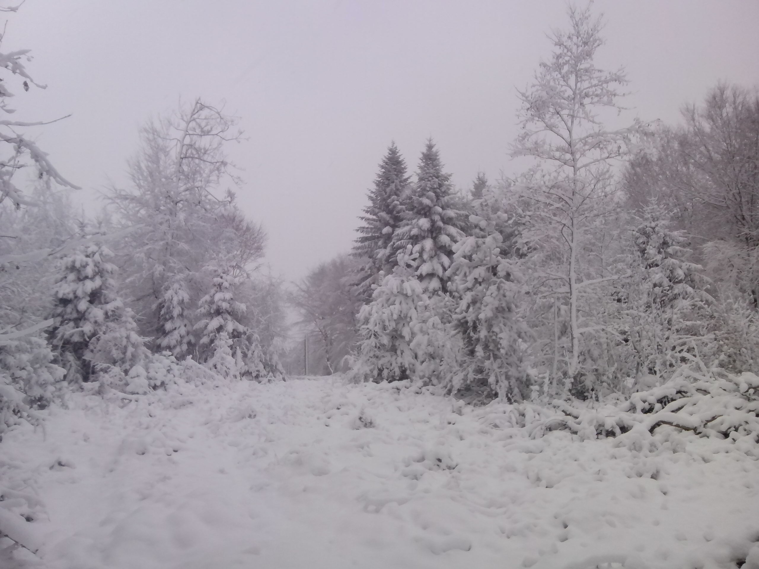 Noch immer fällt auch am 28.Dezember 2014 noch Schnee...