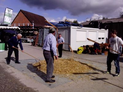 Dreschen mit dem Dreschflegel am Dorfmärt in Fisibach
