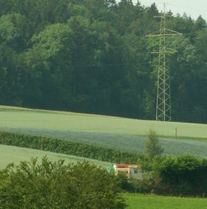 Mein ehemaliges Bienenhaus