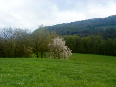 Früher das Zeichen das es mit den Bienen los ging