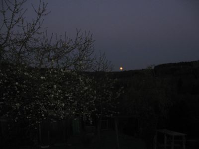 Frühlingsabend mit aufgehendem Mond