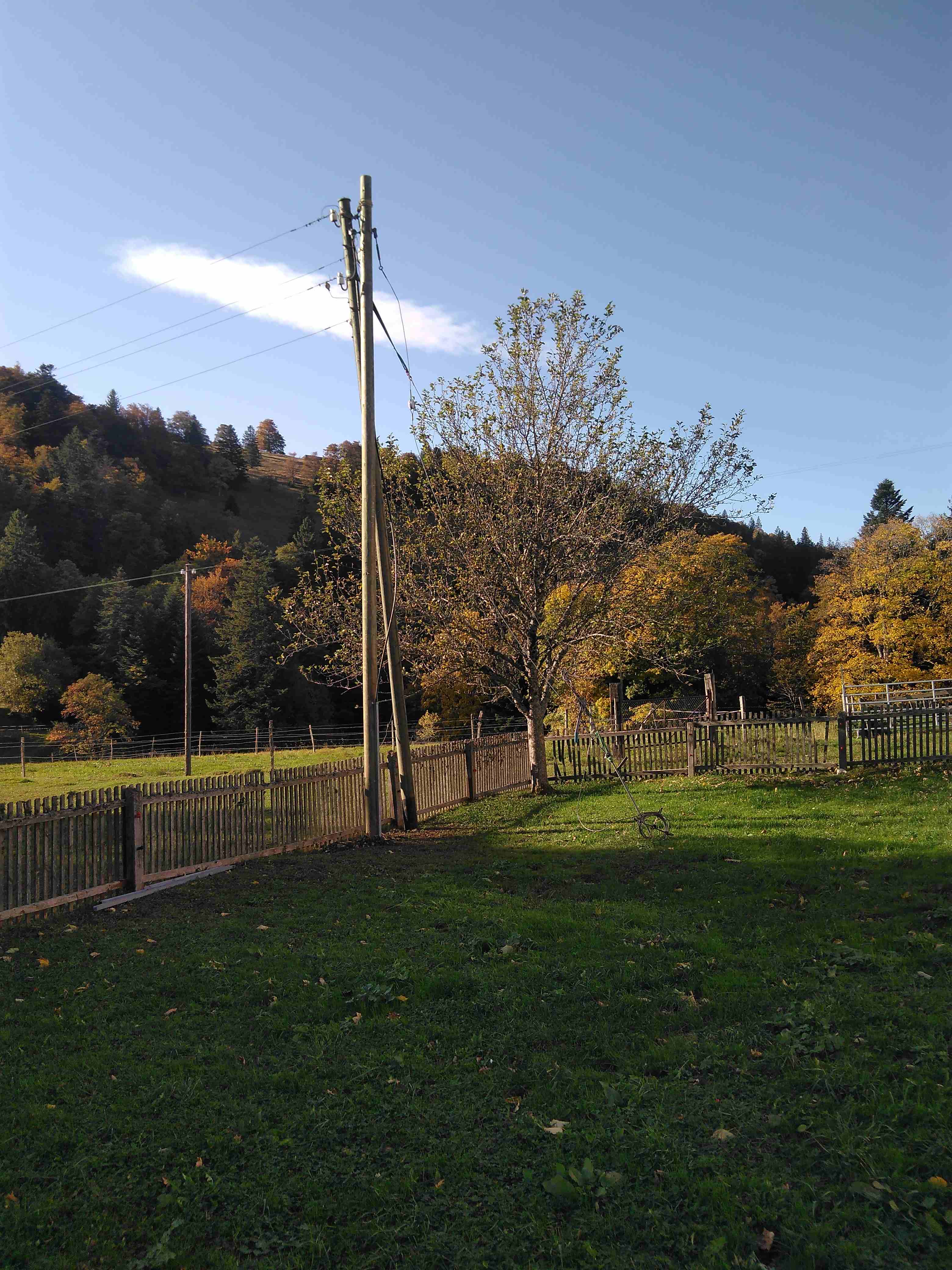 Ersatz für alten Strommast beim 'unteren Graffenrieder' fotografiert am 13.10.2019