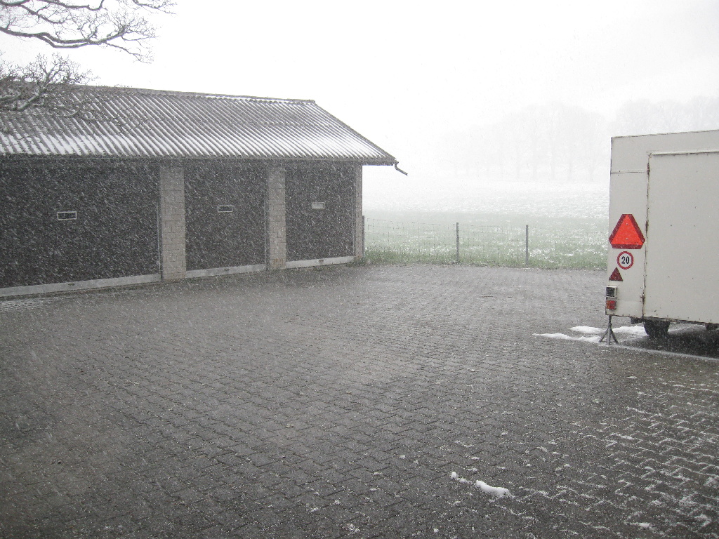 ...dann wieder wildes Schneegestöber