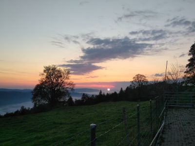Herrliche Morgenstimmung am 26.05.2019 um 05:46 Uhr vom 'oberen Graffenrieder' im Berner Jura