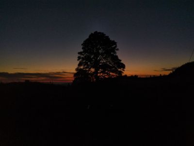 Sonnenaufgang am 04.08.2019 um 05:26 Uhr im 'oberen Graffenrieder'