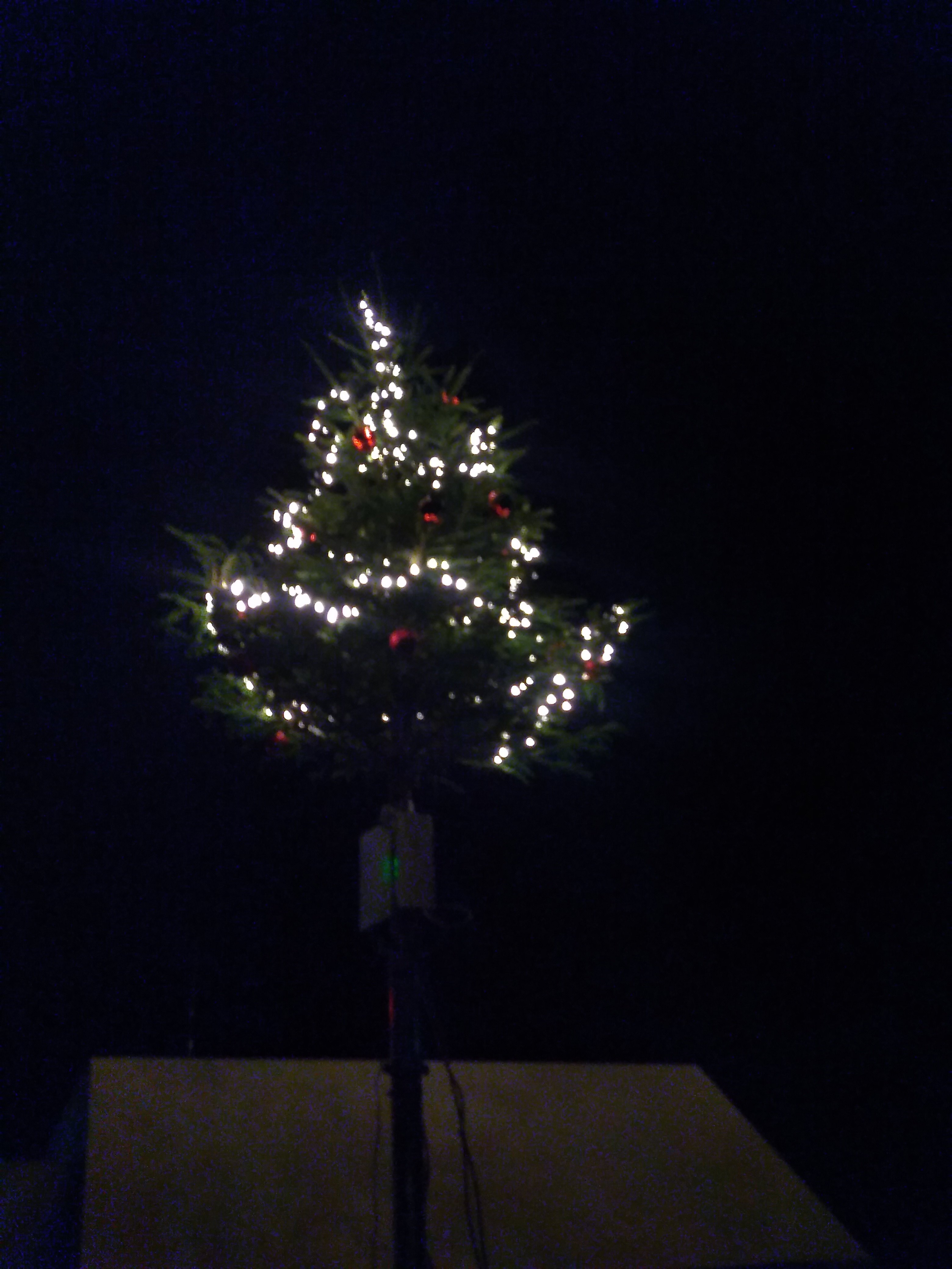 Mein Weihnachtsbaum beleuchtet vom 25.11.2019