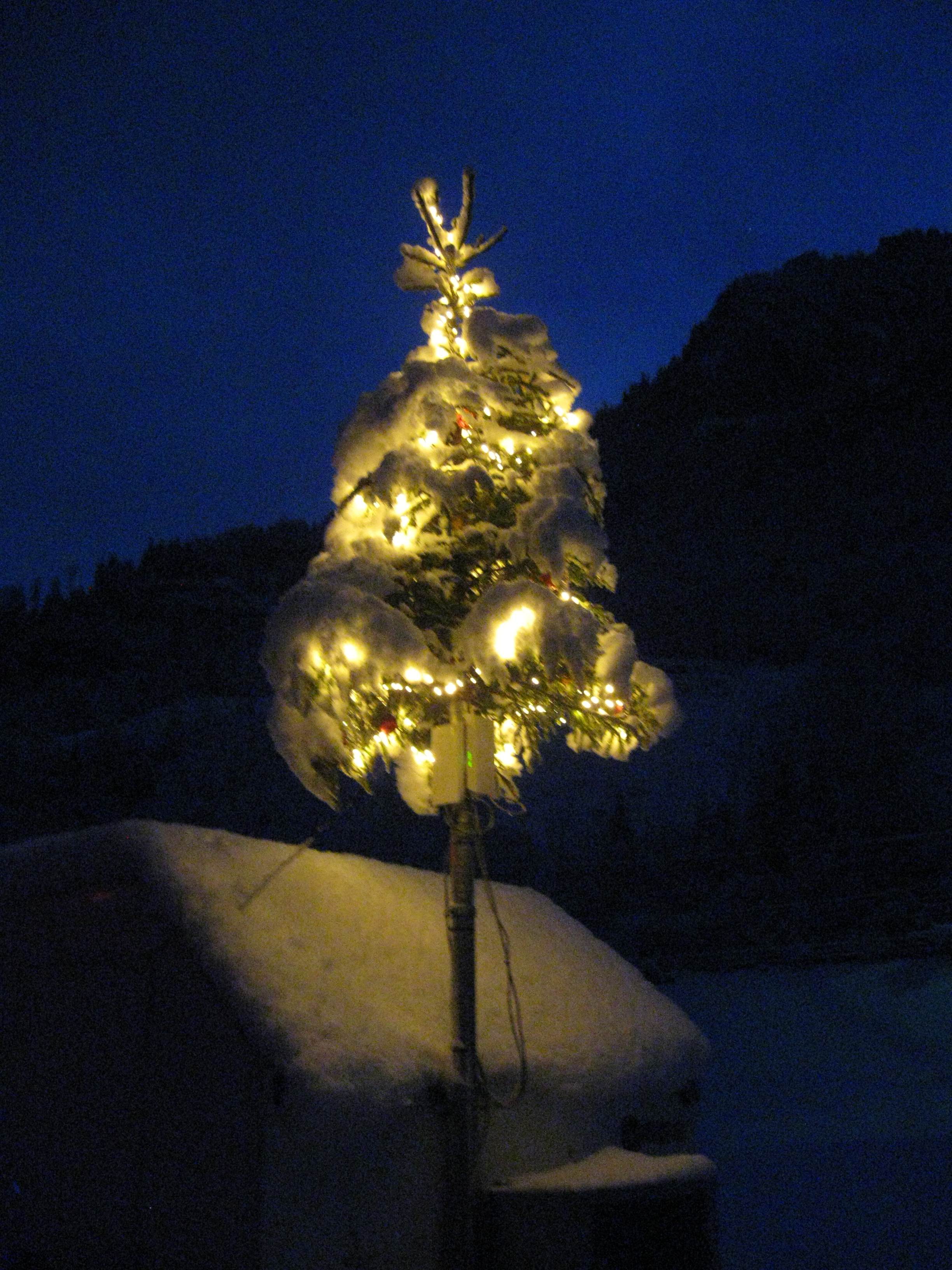 Mein Weihnachtsbaum mit 'Zuckerguss' am 10.12.2019