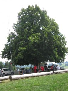 Grillplausch der Bachtel-Spatzen auf der Sädelegg
