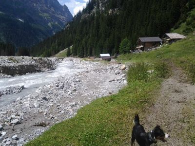 Die Kander mit Normalwasser hinter dem Heimritz am 25.07.2014