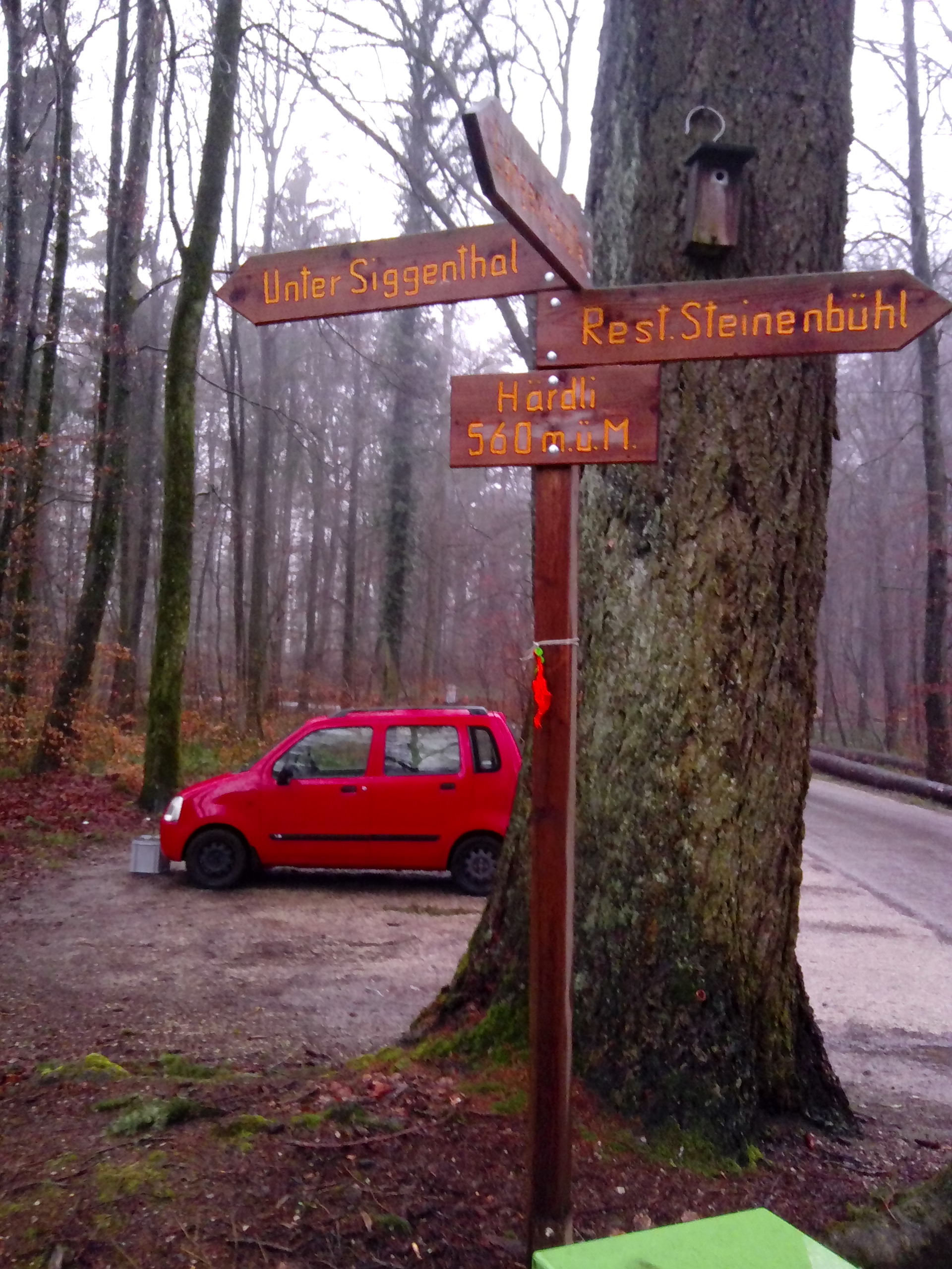 Hier das Auto und den mobilen Gateway abgestellt, um mit dem Hund spazieren zu gehen