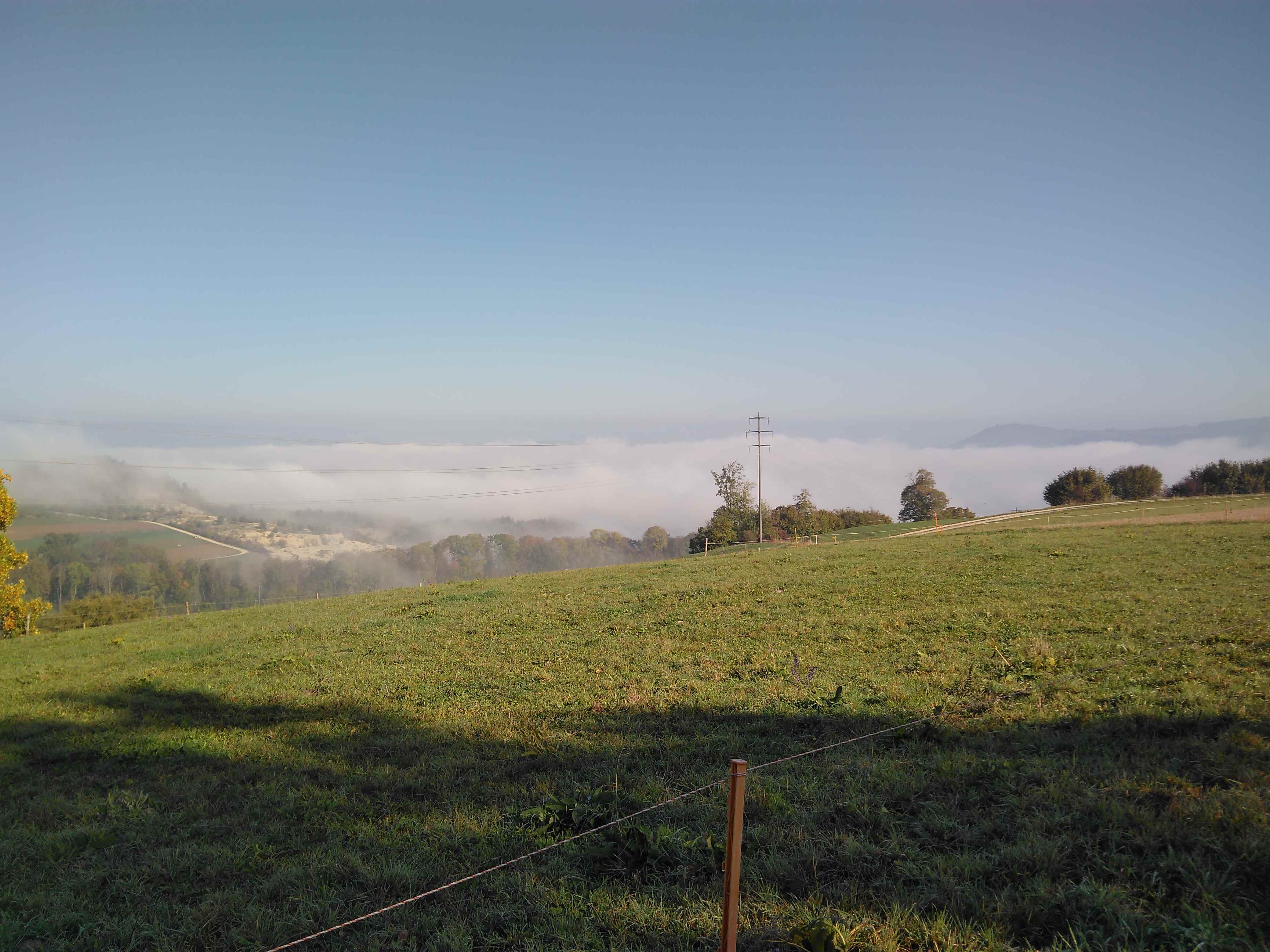 Nebelmeer dem Rhein entlang bei Rekingen (AG) am 14.10.2018 um 11 Uhr