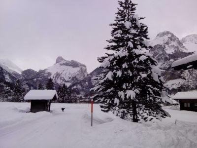 Anständig Schnee in Kandersteg am 30. Januar 2015