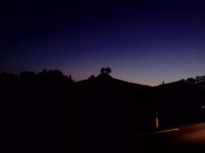 Hügel mit Bäumen im Abendlicht in der Region Sternenberg am 29.08.2015 um 20:54 Uhr