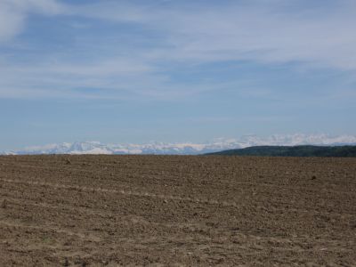 Berge von oberhalb Eglisau zu sehen