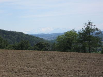Berge von oberhalb Eglisau zu sehen