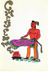 Cheyenne 73